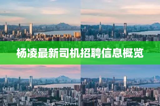 楊凌最新司機招聘信息概覽