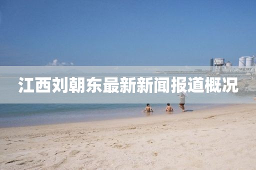 江西劉朝東最新新聞報道概況