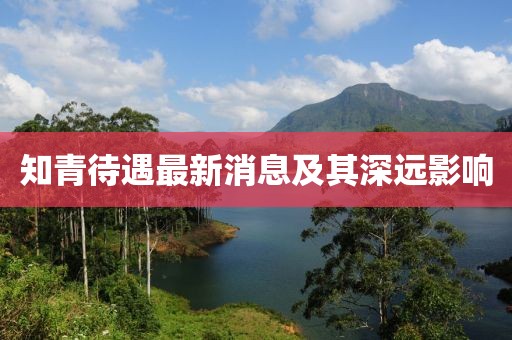 知青待遇最新消息及其深遠影響