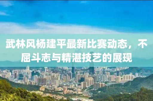 武林風(fēng)楊建平最新比賽動態(tài)，不屈斗志與精湛技藝的展現(xiàn)