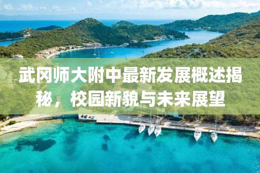 武岡師大附中最新發(fā)展概述揭秘，校園新貌與未來展望