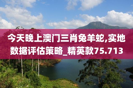 今天晚上澳門三肖兔羊蛇,實地數(shù)據(jù)評估策略_精英款75.713