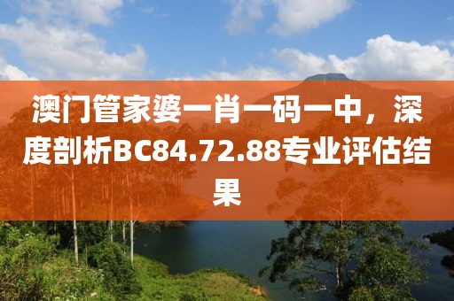 二四六香港資料期期準一,飛速解答解釋落實_T版13.624