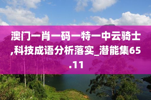 澳門一肖一碼一特一中云騎士,科技成語分析落實_潛能集65.11