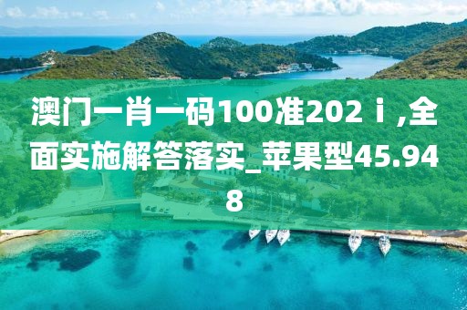 澳門一肖一碼100準(zhǔn)202ⅰ,全面實(shí)施解答落實(shí)_蘋果型45.948