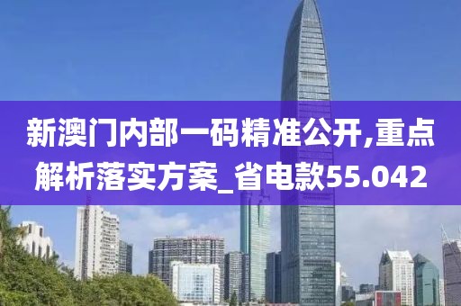 新澳門內(nèi)部一碼精準公開,重點解析落實方案_省電款55.042