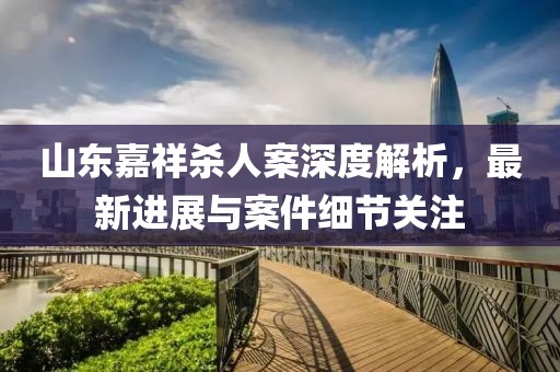 山東嘉祥殺人案深度解析，最新進展與案件細節(jié)關注