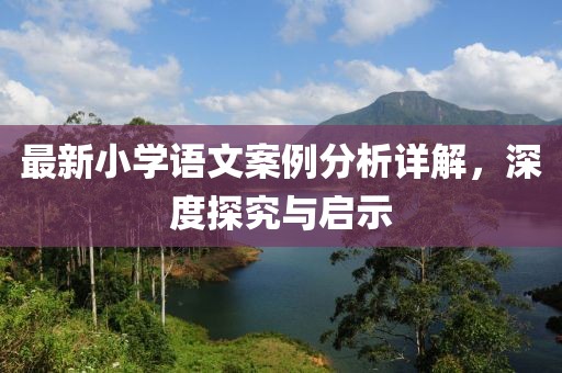 最新小學(xué)語文案例分析詳解，深度探究與啟示