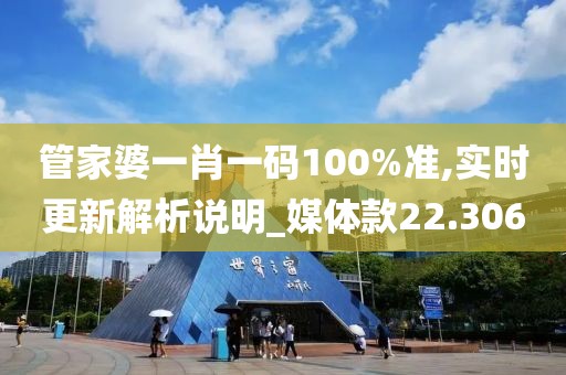 管家婆一肖一碼100%準(zhǔn),實(shí)時(shí)更新解析說明_媒體款22.306