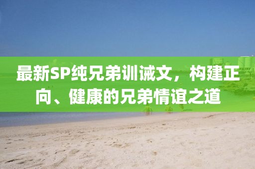 最新SP純兄弟訓(xùn)誡文，構(gòu)建正向、健康的兄弟情誼之道