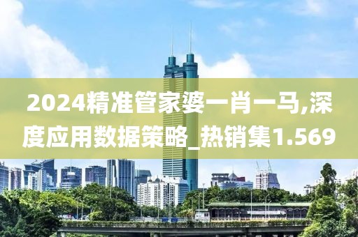 2024精準(zhǔn)管家婆一肖一馬,深度應(yīng)用數(shù)據(jù)策略_熱銷集1.569