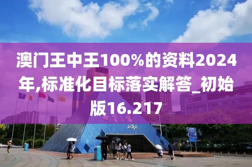 澳門王中王100%的資料2024年,標(biāo)準(zhǔn)化目標(biāo)落實(shí)解答_初始版16.217