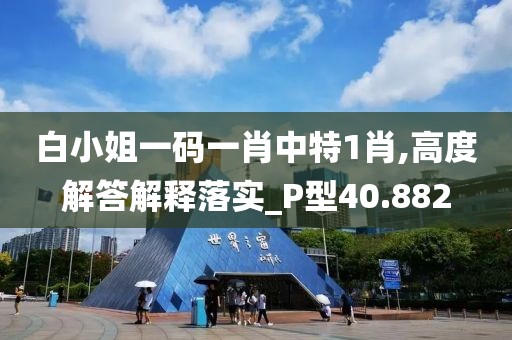 白小姐一碼一肖中特1肖,高度解答解釋落實_P型40.882
