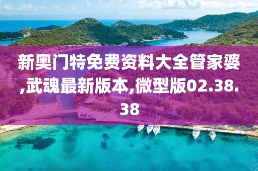 新奧門特免費資料大全管家婆,武魂最新版本,微型版02.38.38
