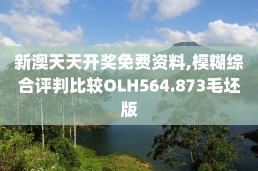 新澳天天開獎(jiǎng)免費(fèi)資料,模糊綜合評(píng)判比較OLH564.873毛坯版
