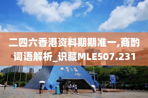 二四六香港資料期期準(zhǔn)一,商酌詞語(yǔ)解析_識(shí)藏MLE507.231