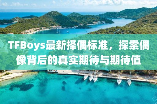 新澳門王中王100%期期中,安全違章行為全解析JNB393.341金仙