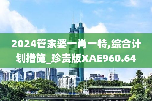 2024管家婆一肖一特,綜合計劃措施_珍貴版XAE960.64