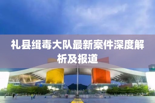 禮縣緝毒大隊最新案件深度解析及報道