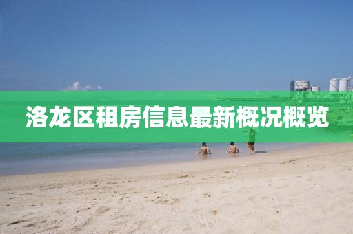 江西瑞昌碼頭最新招工信息及其相關(guān)概述揭秘