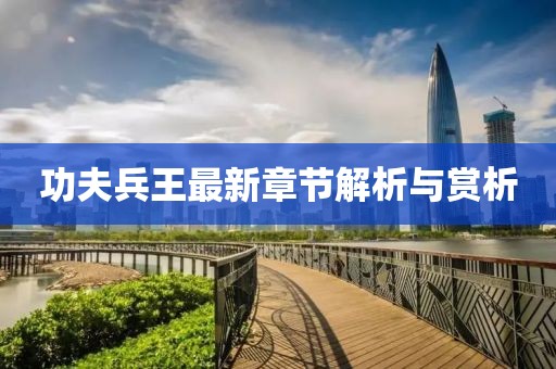 功夫兵王最新章節(jié)解析與賞析