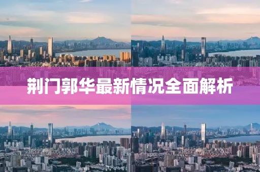 荊門郭華最新情況全面解析