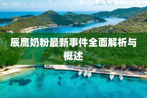 辰鷹奶粉最新事件全面解析與概述