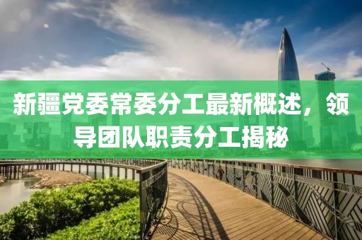 新疆黨委常委分工最新概述，領(lǐng)導(dǎo)團(tuán)隊(duì)職責(zé)分工揭秘