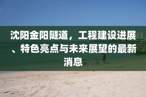 沈陽金陽隧道，工程建設(shè)進展、特色亮點與未來展望的最新消息