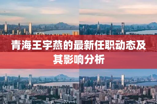 青海王宇燕的最新任職動態(tài)及其影響分析