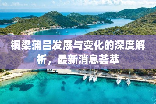 銅梁蒲呂發(fā)展與變化的深度解析，最新消息薈萃