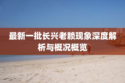 最新一批長(zhǎng)興老賴(lài)現(xiàn)象深度解析與概況概覽