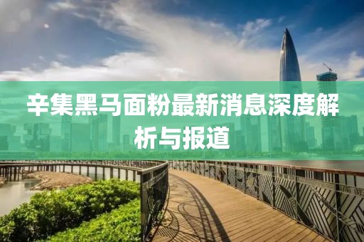 辛集黑馬面粉最新消息深度解析與報道