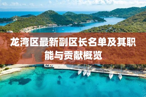 龍灣區(qū)最新副區(qū)長(zhǎng)名單及其職能與貢獻(xiàn)概覽