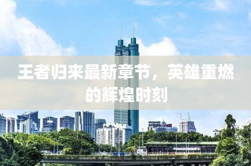 資陽(yáng)市政府最新任免及解析
