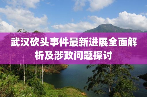 武漢砍頭事件最新進(jìn)展全面解析及涉政問(wèn)題探討