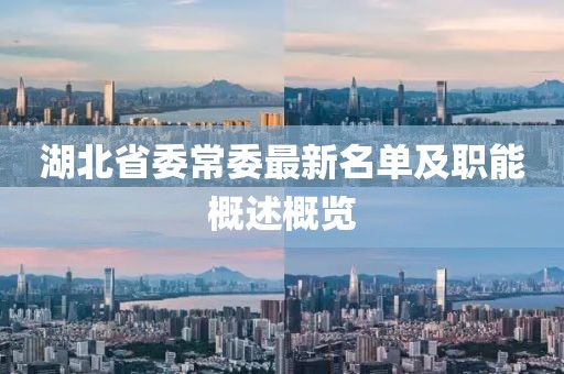 湖北省委常委最新名單及職能概述概覽