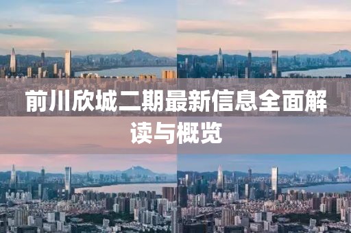 前川欣城二期最新信息全面解讀與概覽