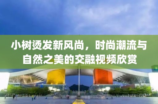 小樹燙發(fā)新風尚，時尚潮流與自然之美的交融視頻欣賞