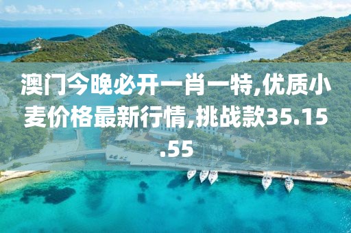 澳門今晚必開一肖一特,優(yōu)質小麥價格最新行情,挑戰(zhàn)款35.15.55
