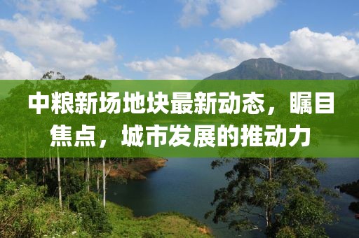 中糧新場地塊最新動態(tài)，矚目焦點，城市發(fā)展的推動力