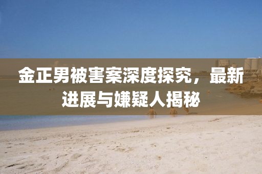 金正男被害案深度探究，最新進展與嫌疑人揭秘