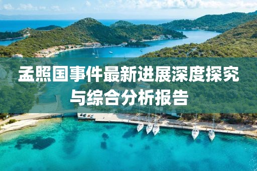 孟照國事件最新進(jìn)展深度探究與綜合分析報(bào)告