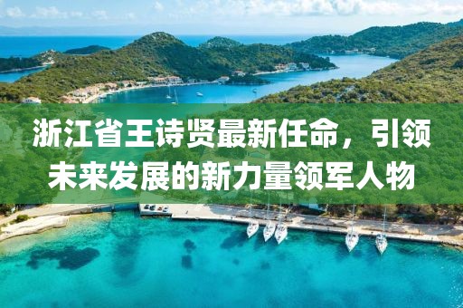 浙江省王詩賢最新任命，引領(lǐng)未來發(fā)展的新力量領(lǐng)軍人物