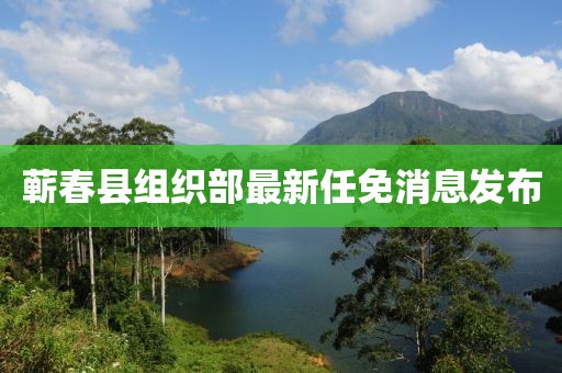 蘄春縣組織部最新任免消息發(fā)布