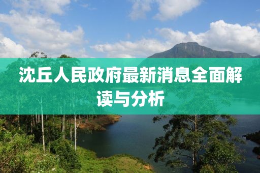 沈丘人民政府最新消息全面解讀與分析