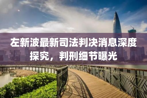 左新波最新司法判決消息深度探究，判刑細(xì)節(jié)曝光