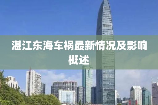 湛江東海車(chē)禍最新情況及影響概述