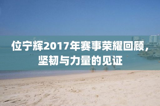 位寧輝2017年賽事榮耀回顧，堅(jiān)韌與力量的見(jiàn)證