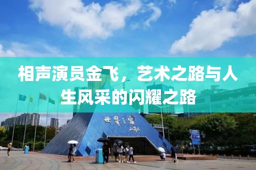 相聲演員金飛，藝術(shù)之路與人生風(fēng)采的閃耀之路